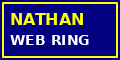 best viewed in netscape